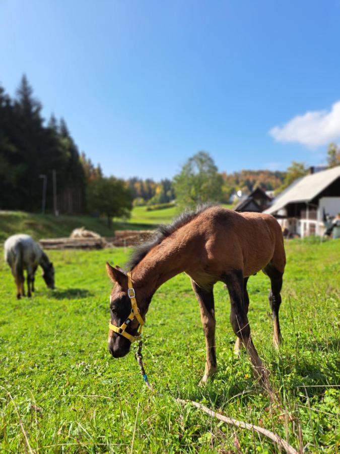 보닌스카비스트리카 Tourist Farm Pr' Maretc 아파트 외부 사진